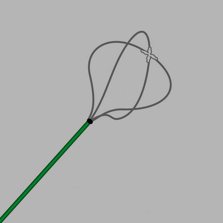 Maestro Nitinol Tipless Stone Basket Allwin Medical